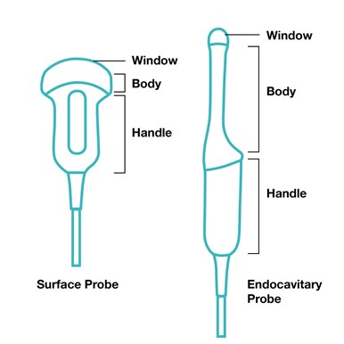 The Ultrasound Probe